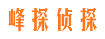 沙雅侦探公司